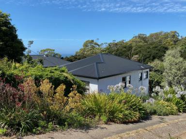 House For Lease - TAS - Parklands - 7320 - Your own piece of paradise  (Image 2)