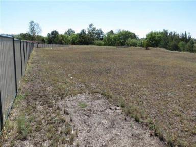 Residential Block For Sale - NSW - Quirindi - 2343 - LARGE VACANT BLOCK  (Image 2)
