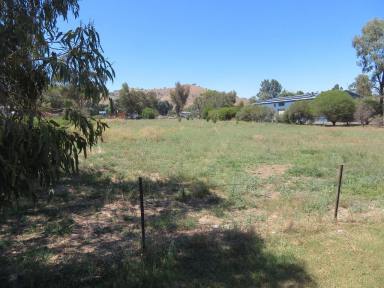 Residential Block For Sale - NSW - Gundagai - 2722 - 1 acre in high profile area  (Image 2)