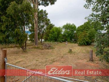 Residential Block For Sale - WA - Donnybrook - 6239 - FOREVER  BUILDING YOUR FOREVER HOME HERE!  $95,000  (Image 2)