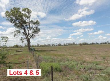 Residential Block For Sale - QLD - Dalby - 4405 - ACREAGE OPPORTUNITY WITHIN MINUTES OF THE MAIN STREET  (Image 2)