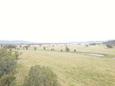 Other (Rural) For Sale - NSW - Upper Horton - 2347 - "Horton Valley", Aggregation  (Image 2)