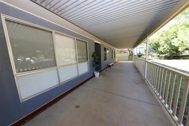House For Sale - NSW - Tumut - 2720 - Look No Further  (Image 2)