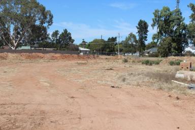 Residential Block For Sale - VIC - Robinvale - 3549 - Give me land lots of land don't fence me in!!!  (Image 2)