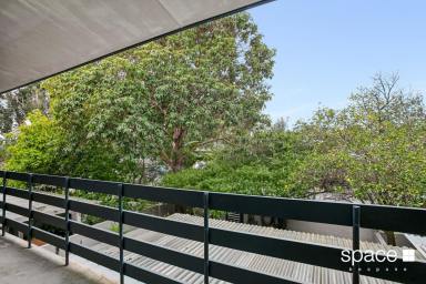 Apartment For Lease - WA - Shenton Park - 6008 - Quite well maintained complex unfurnished unit  (Image 2)
