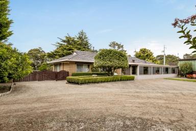 Lifestyle For Sale - VIC - Ripplebrook - 3818 - Immaculate 12 Acres  (Image 2)