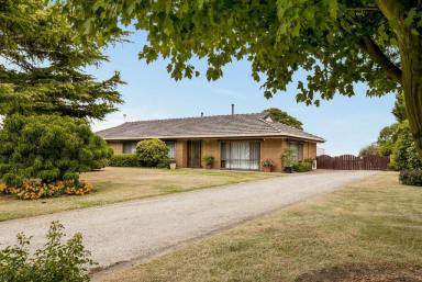 Lifestyle For Sale - VIC - Ripplebrook - 3818 - Immaculate 12 Acres  (Image 2)