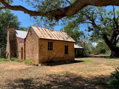 Hotel/Leisure For Sale - NT - Katherine - 0850 - SPRINGVALE HOMESTEAD - PICTURESQUE PARK OF RICH CULTURAL HERITAGE - PRIME RIVERFRONT LAND - DEVELOPMENT OPPORTUNITY (STCA)  (Image 2)
