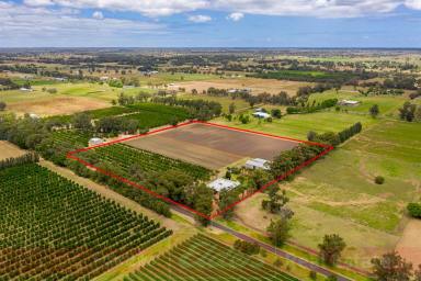 Other (Rural) For Sale - WA - Harvey - 6220 - Lifestyle Farm on 10 acres  (Image 2)