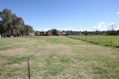Residential Block For Sale - NSW - Quirindi - 2343 - 5,166 SQ,M RESIDENTIAL BLOCK  (Image 2)