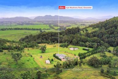 Acreage/Semi-rural For Sale - NSW - Gloucester - 2422 - WORLD CLASS ON WAUKIVORY ROAD!  (Image 2)