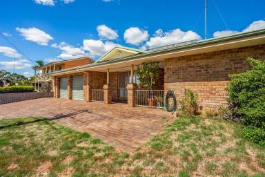 House For Sale - WA - East Bunbury - 6230 - Rare Opportunity!  Brilliant location, development potential, Huge Family home  - this wont last!  (Image 2)