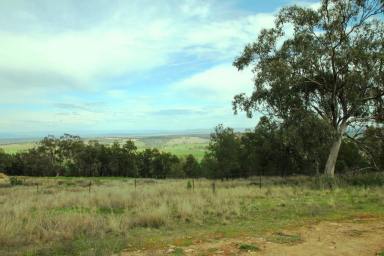 Residential Block For Sale - NSW - Quirindi - 2343 - 4.9 ACRES WITH SPECTACULAR VIEWS  (Image 2)