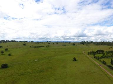 Mixed Farming For Sale - NSW - Piora - 2470 - PICTURE PERFECT PIORA - 205 ACRES  (Image 2)