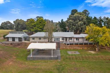 Lifestyle Auction - NSW - Marulan - 2579 - SUPERB RURAL LIFESTYLE FOR THE EXTENDED FAMILY  (Image 2)