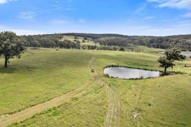 Lifestyle Auction - NSW - Marulan - 2579 - SUPERB RURAL LIFESTYLE FOR THE EXTENDED FAMILY  (Image 2)