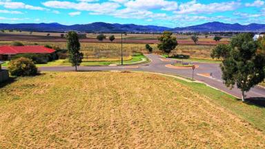 Residential Block For Sale - NSW - Quirindi - 2343 - 1,200 SQ,M BLOCK WITH MOUNTAIN VIEWS  (Image 2)