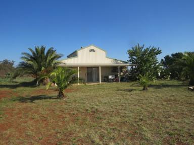 Other (Rural) For Sale - VIC - Toolleen - 3551 - Oils aint Oils!  (Image 2)