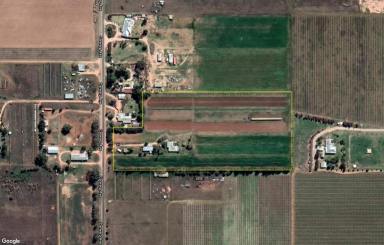 Horticulture For Sale - VIC - Irymple - 3498 - Enormous potential for development  (Image 2)