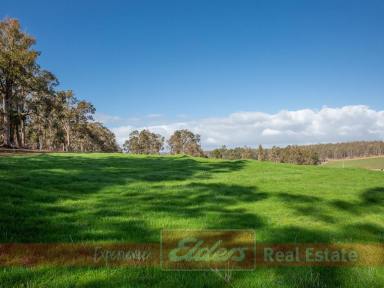 Other (Rural) For Sale - WA - Kirup - 6251 - -SPECIAL SPOT IN KIRUP - 7.37 HA VACANT LAND  (Image 2)