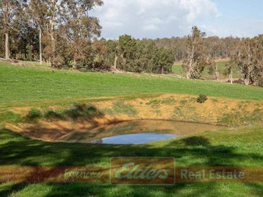 Other (Rural) For Sale - WA - Kirup - 6251 - -SPECIAL SPOT IN KIRUP - 7.37 HA VACANT LAND  (Image 2)