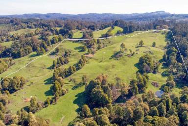 Mixed Farming For Sale - VIC - Yarragon South - 3823 - 62 Acres - Fully renovated home  (Image 2)