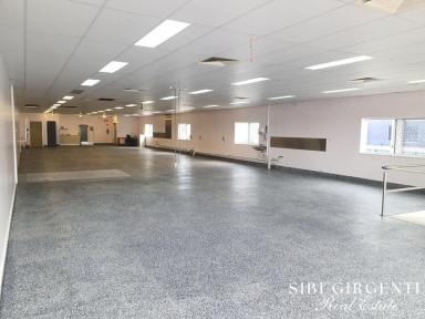 Medical/Consulting For Lease - QLD - Mareeba - 4880 - 311m2 HIGH QAULITY SPACE ON BYRNES STREET!  (Image 2)