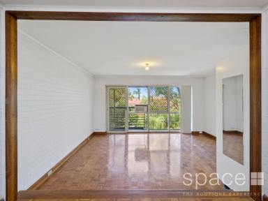 Unit Leased - WA - Cottesloe - 6011 - ****UNDER APPLICATION ****  (Image 2)