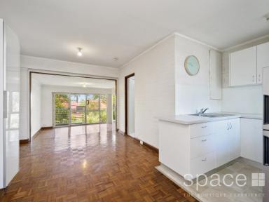 Unit Leased - WA - Cottesloe - 6011 - **** UNDER APPLICATION ****  (Image 2)