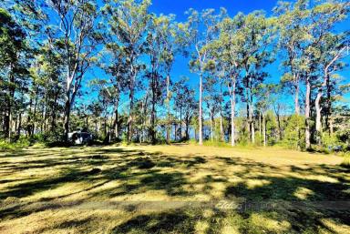 Acreage/Semi-rural For Sale - NSW - Shallow Bay - 2428 - SENSATIONAL WATERFRONT ON SHALLOW BAY!  (Image 2)