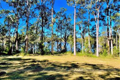 Acreage/Semi-rural For Sale - NSW - Shallow Bay - 2428 - SENSATIONAL WATERFRONT ON SHALLOW BAY!  (Image 2)