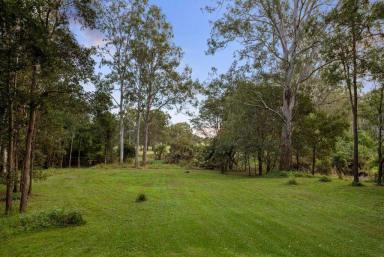 House For Sale - QLD - Slacks Creek - 4127 - THE BIGGEST DUAL LIVING HOME YOULL FIND!  (Image 2)