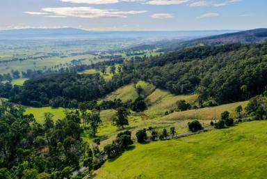 Lifestyle For Sale - VIC - Trafalgar - 3824 - Spectacular Strezlecki Block with Panoramic Views  (Image 2)