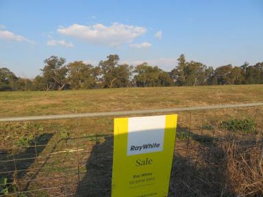 Cropping For Sale - NSW - Gundagai - 2722 - 11.2 acres on the outskirts of town  (Image 2)