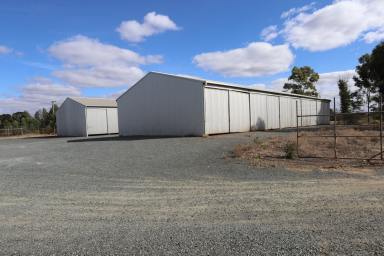 Retail For Sale - NSW - West Wyalong - 2671 - VENDOR KEEN TO SELL !  (Image 2)