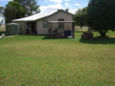 House For Lease - NSW - Spring Ridge - 2343 - QUIET COUNTRY COTTAGE IN SPRING RIDGE  (Image 2)