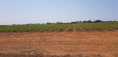 Other (Rural) For Sale - QLD - Woongarra - 4670 - Potential Subdivision Project  (Image 2)