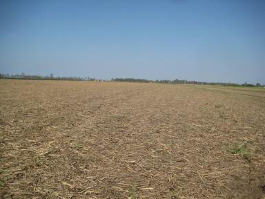 Cropping For Sale - QLD - Meadowvale - 4670 - IRRIGATED FARM WITH GREAT SOIL  (Image 2)