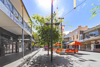 Retail Expressions of Interest - NSW - Wollongong - 2500 - DA Approved Cafe For Lease!!  (Image 2)