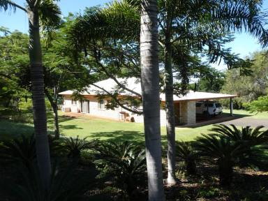 Horticulture For Sale - QLD - South Isis - 4660 - "ROSEHILL" AVOCADO & LYCHEE ORCHARD  (Image 2)