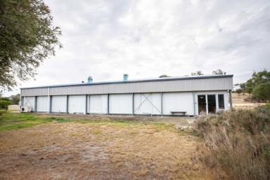 Other (Rural) For Sale - SA - Naracoorte - 5271 - THE OPPORTUNITIES ARE ENDLESS  (Image 2)