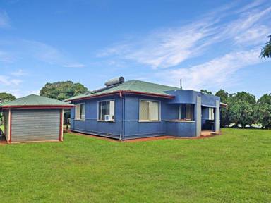 House For Sale - QLD - Atherton - 4883 - OPPORTUNITY!!  (Image 2)
