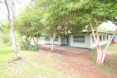 Acreage/Semi-rural Sold - QLD - Breddan - 4820 - 80 ACRES ON 2 TITLES WITH A 6 BEDROOM + OFFICE BLOCK HOME  (Image 2)