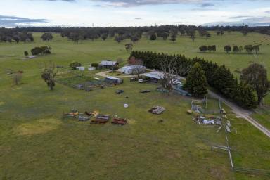 Livestock For Sale - VIC - Willung - 3847 - GRAZING PROPERTY  (Image 2)