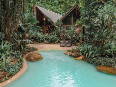 Hotel/Leisure For Sale - QLD - Cape Tribulation - 4873 - Ferntree Rainforest Lodge is in the heart of Cape Tribulation in the Daintree, a UNESCO world heritage site.  (Image 2)