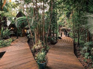 Hotel/Leisure For Sale - QLD - Cape Tribulation - 4873 - Ferntree Rainforest Lodge is in the heart of Cape Tribulation in the Daintree, a UNESCO world heritage site.  (Image 2)