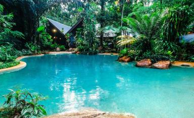 Hotel/Leisure For Sale - QLD - Cape Tribulation - 4873 - Ferntree Rainforest Lodge is in the heart of Cape Tribulation in the Daintree, a UNESCO world heritage site.  (Image 2)