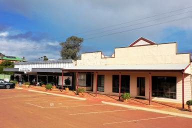 Business For Sale - WA - Newdegate - 6355 - Strong Independent Business Opportunity  (Image 2)