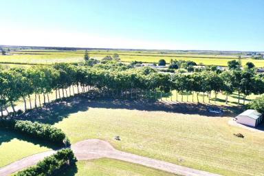 Residential Block For Sale - QLD - Ayr - 4807 - Acreage Lot with Water Views - Power - Bitumen Rd - Telstra Pit -  (Image 2)