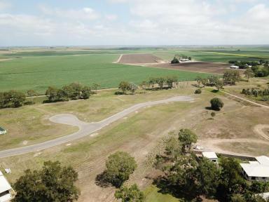 Residential Block For Sale - QLD - Ayr - 4807 - Vacant Land - New Housing Estate - Ayr  (Image 2)